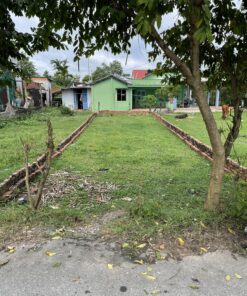 Bán đất Củ Chi full thổ giá rẻ - cách QL22 chỉ 200m - Tp. HCM